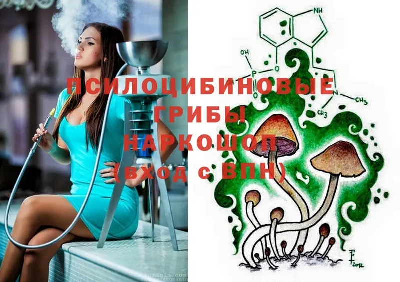 Псилоцибиновые грибы MAGIC MUSHROOMS Калтан